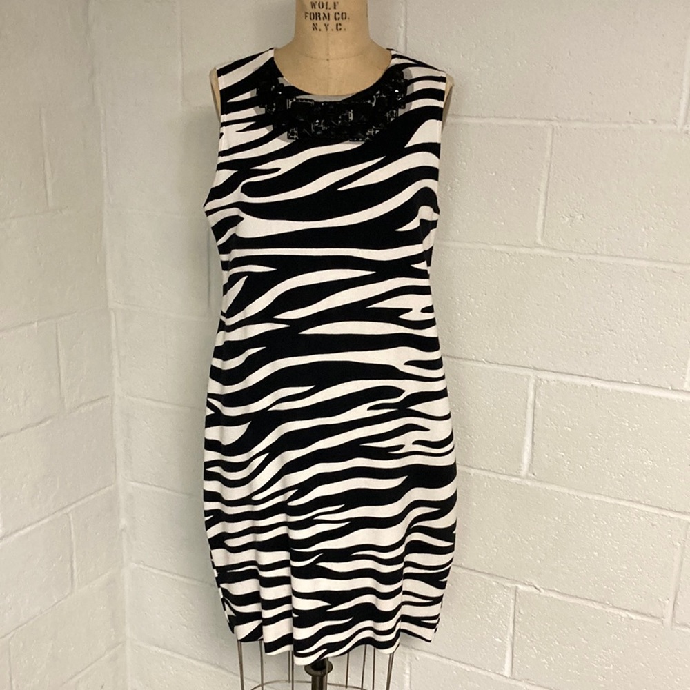 Adrienne Vittadini Dress